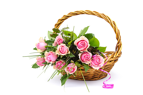 포토 JPG 해외이미지 식물 기념일 꽃잎 꽃 분홍색 꽃다발 결혼 백그라운드 잎 꽃무늬 자연 벽지 결혼식 엄마 발렌타인데이 선물 사랑 사람없음 장식 장미 바구니 귀여움 침묵 성장 흰색 축하 신선 생일 개화 다발 기회 향기 냄새 열정 카피스페이스 해외포토 감정 컬러 컨셉 무늬 가족 데이이벤트 이벤트 소리 공백 생태계 파일형식 이미지허브