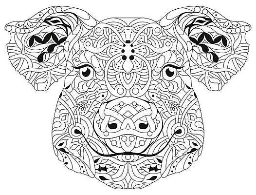 EPS 해외이미지 동물 선 일러스트 추상 사람없음 돼지 그림 젠탱글 해외일러스트 무늬 포유류 파일형식 벡터 이미지허브