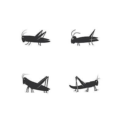 EPS 해외이미지 동물 디자인 실루엣 야생동물 곤충 백그라운드 일러스트 비즈니스 자연 추상 생물 안테나 육류 그래픽 가로 초록색 세트 정원 검은색 흰색 해충 벌레 작음 수집 딱정벌레 심볼 사인 싱글 그림 메뚜기 고립 동물상 특별함 해외일러스트 컬러 컨셉 무늬 식재료 통신 촬영기법 조형물 크기 생태계 파일형식 벡터 이미지허브