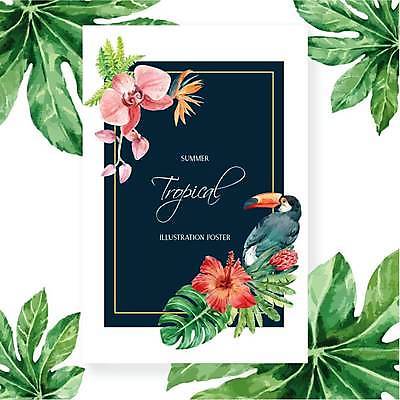 EPS 해외이미지 한마리 일러스트 사각프레임 프레임 타이포그라피 사람없음 열대꽃 열대잎 토코투칸 보테니컬아트 해외일러스트 문자 1 꽃 잎 조류 사각형 파일형식 벡터 이미지허브