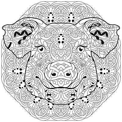 EPS 해외이미지 동물 선 일러스트 추상 사람없음 돼지 그림 젠탱글 해외일러스트 무늬 포유류 파일형식 벡터 이미지허브