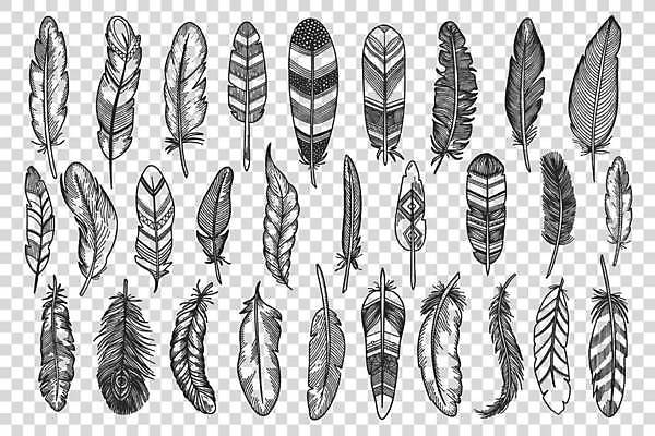 EPS 해외이미지 일러스트 종류 사람없음 세트 다양 낙서 라인아트 깃털 손그림 해외일러스트 선 다수 파일형식 벡터 이미지허브