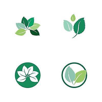 EPS 해외이미지 식물 디자인 실루엣 백그라운드 잎 2 일러스트 초록색 검은색 흰색 신선 플랫 차 시원함 민트 허브 심볼 에코 유기농 윤곽 향 내추럴 고립 엘리먼트 스피아민트 해외일러스트 웰빙 음료 컬러 촬영기법 환경 파일형식 벡터 이미지허브