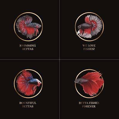 EPS 해외이미지 일러스트 수채화 어류 사람없음 반려동물 수족관 브랜딩 베타 해외일러스트 동물 수중동물 파일형식 벡터 이미지허브