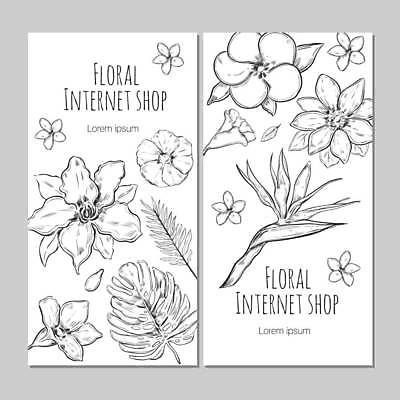 EPS 해외이미지 식물 디자인 꽃잎 꽃 잎 일러스트 사람없음 스케치 꽃집 온라인 내추럴 온라인몰 해외일러스트 미술 상점 온라인쇼핑 파일형식 벡터 이미지허브