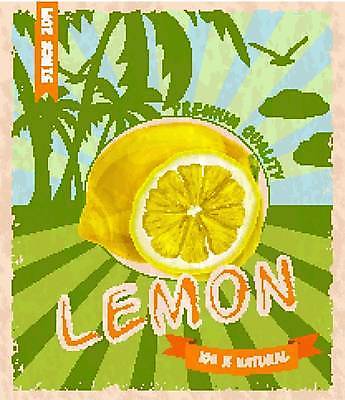 EPS 해외이미지 디자인 포스터 일러스트 조류 단면 사람없음 야자수 노란색 빈티지 레몬 야자수잎 해외일러스트 나무 동물 컬러 컨셉 잎 과일 파일형식 벡터 이미지허브