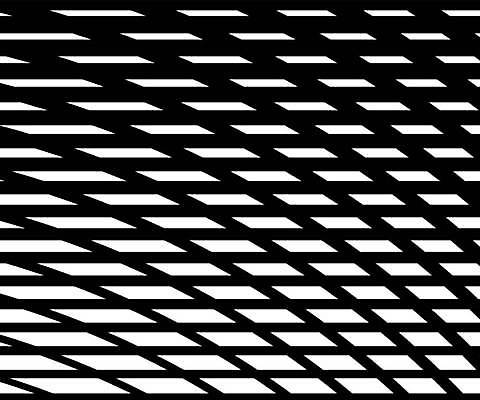 EPS 해외이미지 손 디자인 종이 선 파도 백그라운드 패턴 곡선 일러스트 벽지 추상 흑백 미술 그래픽 장식 검은색 웹 줄무늬 흰색 직물 인쇄 천 타일 그림 질감 웨이브 복고 심플 기하학 대각선 엘리먼트 포장소품 스타일 반복 해외일러스트 바다 컬러 무늬 인터넷 포장 문화예술 촬영기법 신체부위 오브젝트 포장재료 파일형식 벡터 이미지허브