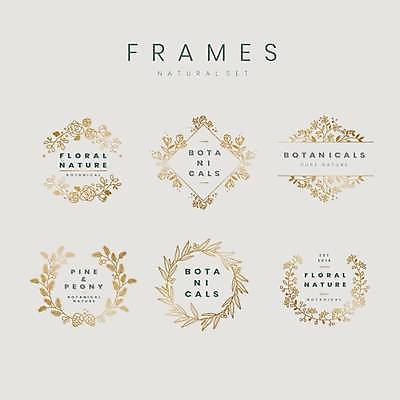 EPS 해외이미지 꽃 잎 일러스트 사각프레임 프레임 사람없음 세트 금색 심볼 원형프레임 보테니컬아트 해외일러스트 식물 컬러 사각형 원형 파일형식 벡터 이미지허브