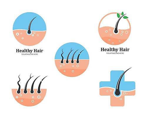 EPS 해외이미지 일러스트 사람없음 머리카락 심볼 두피 두피케어 십자모양 탈모클리닉 해외일러스트 모양 머리 클리닉 헤어관리 십자 파일형식 벡터 이미지허브