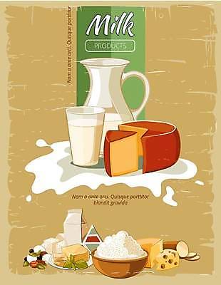 EPS 해외이미지 그릇 접시 디자인 포스터 잎 일러스트 잔 치즈 사람없음 우유 빈티지 유기농 질감 튀는물 밀가루 버터 해외일러스트 식물 식기 웰빙 컨셉 유제품 가루 액체표현 스플래쉬 파일형식 벡터 이미지허브