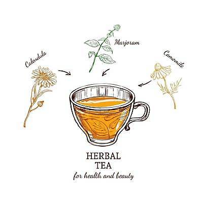 EPS 해외이미지 식물 손 디자인 음료 컨셉 잎 과일 일러스트 재료 유리 추상 따뜻함 건강 미술 그래픽 장식 컵 세트 컬러풀 신선 액체 차 맛 스케치 수집 레몬 허브 심볼 향신료 오브젝트 사인 유기농 향 레시피 비타민 내추럴 금잔화 고립 엘리먼트 캐모마일 해외일러스트 식기 웰빙 꽃 컬러 무늬 재질 문화예술 신체부위 영양소 향미료 파일형식 벡터 이미지허브