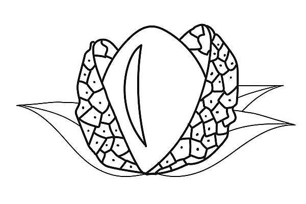 EPS 해외이미지 클립아트 열매 음식 스티커 잎 다이어트 과일 일러스트 재료 귤 건강 그래픽 장식 빨간색 초록색 컬러풀 숫자 직물 신선 달콤 인쇄 스케치 먹기 심볼 라인아트 에코 유기농 날것 심플 손그림 고립 엘리먼트 채식주의자 방식 비건 해외일러스트 식물 문자 웰빙 선 컬러 모션 미술 환경 맛 채식 파일형식 벡터 이미지허브