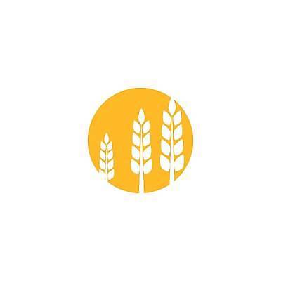 EPS 해외이미지 식물 디자인 음식 빵 농업 일러스트 자연 밥 씨앗 농작물 농장 수확 성장 낟알 시리얼 밀 심볼 사인 보리 귀 내추럴 고립 밭일 엘리먼트 호밀 해외일러스트 산업 곡류 신체부위 생태계 파일형식 벡터 사람 이미지허브