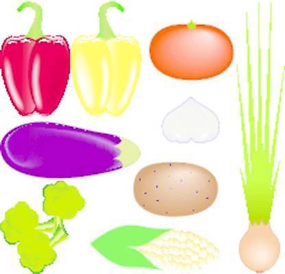 EPS 해외이미지 음식 다이어트 토마토 채소 일러스트 자연 가지 양파 감자 마늘 옥수수 세트 수확 후추 숙성 채식주의자 해외일러스트 농업 곡류 건강 향신료 생태계 채식 파일형식 벡터 이미지허브
