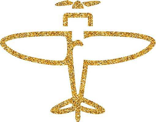 EPS 해외이미지 일러스트 사람없음 반짝임 금박 프로펠러기 더스트파티클 해외일러스트 모션 비행기 파일형식 벡터 이미지허브