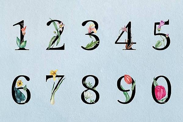 EPS 해외이미지 꽃 줄기 잎 일러스트 사람없음 파란색 세트 숫자 조합형타이포 보테니컬아트 해외일러스트 식물 문자 컬러 타이포그라피 파일형식 벡터 이미지허브