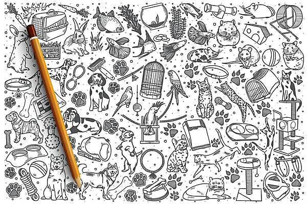 EPS 해외이미지 일러스트 어류 사람없음 반려동물 세트 장난감 고양이 당근 토끼 개 강아지 쥐 먹이 어항 스케치 오브젝트 앵무새 손그림 새장 햄스터 쳇바퀴 캣타워 케이지 스타일 해외일러스트 반려용품 동물 포유류 조류 뿌리채소 미술 수중동물 설치류 파일형식 벡터 이미지허브