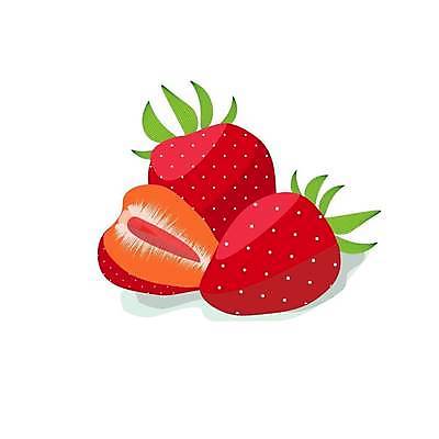 EPS 해외이미지 일러스트 딸기 단면 사람없음 해외일러스트 과일 파일형식 벡터 이미지허브