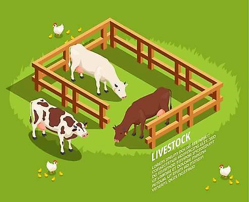 EPS 해외이미지 여러마리 일러스트 병아리 사람없음 연두색 울타리 가축 닭 젖소 아이소메트릭 외양간 해외일러스트 동물 다수 조류 초록색 담장 소 파일형식 벡터 이미지허브