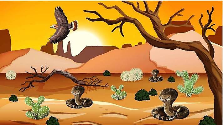 EPS 해외이미지 주간 클립아트 나무 식물 동물 모래 여행 일러스트 파충류 자연 날씨 휴가 산 선인장 건조 따뜻함 손바닥 풍경 야외 그래픽 여름 태양 환경 사막 뜨거움 뱀 만화 모래언덕 그림 피라미드 장면 딸랑이 사하라 내추럴 서쪽 해외일러스트 자연요소 건축물 손 계절 아프리카 아기용품 방향 언덕 생태계 랜드마크 파일형식 벡터 이미지허브