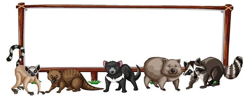 EPS 해외이미지 나무 동물 템플릿 배너 여행 백그라운드 일러스트 아프리카 자연 생물 프레임 따뜻함 야외 목재 초록색 갈색 환경 공백 흰색 나뭇가지 설치류 숲 만화 사파리 사인 리빙 내추럴 고립 동물상 비버 국경 해외일러스트 식물 나라 컬러 재료 조형물 생태계 파일형식 벡터 이미지허브