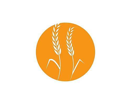 EPS 해외이미지 식물 디자인 배너 음식 빵 백그라운드 농업 다이어트 일러스트 밥 건조 건강 옥수수 씨앗 농작물 농장 노란색 라벨 수확 성장 흰색 신선 시장 황금 상품 낟알 밀 먹기 심볼 사인 유기농 귀 밀가루 C 스파이크 내추럴 고립 밭일 엘리먼트 귀리 해외일러스트 웰빙 알파벳 산업 컬러 모션 곡류 프레임 신체부위 가루 파일형식 벡터 이미지허브