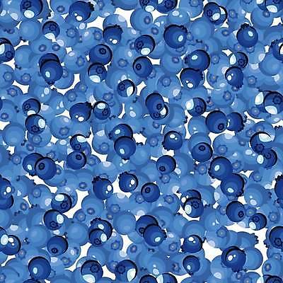 EPS 해외이미지 모양 디자인 배너 열매 종이 백그라운드 패턴 과일 일러스트 재료 벽지 추상 건강 미술 그래픽 장식 파란색 컬러풀 검은색 흰색 직물 신선 점 원형 신용카드 달콤 맛 숲 스케치 그림 유기농 블루베리 블랙베리 내추럴 숙성 채식주의자 반복 해외일러스트 도형 식물 웰빙 컬러 컨셉 무늬 문화예술 금융 채식 파일형식 벡터 이미지허브