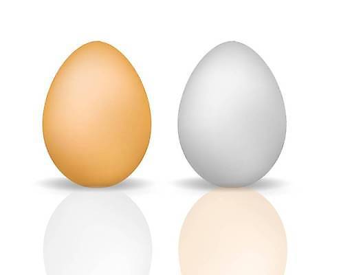 EPS 해외이미지 템플릿 디자인 포스터 종이 음식 백그라운드 일러스트 비즈니스 공 부활절 미술 장식 숫자 3D 계란 치킨 원형 매끈함 천 심볼 오브젝트 질감 서식 광택 고립 단백질 여의주 현실 해외일러스트 도형 문자 기념일 문화예술 알 직물 감각 디지털합성 닭고기요리 영양소 파일형식 벡터 이벤트 이미지허브