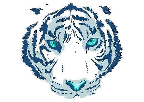 EPS 해외이미지 동물 실루엣 얼굴 야생동물 스포츠 백그라운드 오렌지 일러스트 학교 추상 수염 털 미술 그래픽 검은색 고양이 힘 줄무늬 분노 흰색 호랑이 치아 위험 스케치 피부 그림 육식동물 사냥꾼 공격적 마스코트 힘찬 해외일러스트 직업 교육 감정 컬러 컨셉 무늬 과일 포유류 문화예술 촬영기법 신체부위 반려동물 소화기관 파일형식 벡터 이미지허브