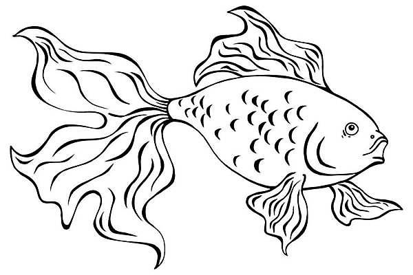 EPS 해외이미지 모양 동물 손 디자인 야생동물 선 음식 파도 바다 백그라운드 패턴 일러스트 자연 어류 미술 그래픽 장식 물 일본 검은색 수중 수영 흰색 인사 황금 낙서 인쇄 만화 스케치 문신 심볼 해산물 오브젝트 그림 웨이브 윤곽 수족관 고립 엘리먼트 해외일러스트 자연요소 아시아 컬러 무늬 문화예술 신체부위 수중동물 수상스포츠 예절 생태계 파일형식 벡터 이미지허브