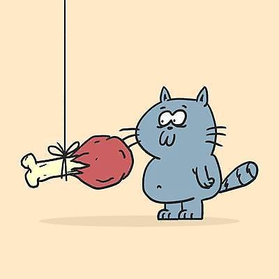 EPS 해외이미지 클립아트 동물 캐릭터 컨셉 일러스트 포유류 그래픽 반려동물 고양이 치킨 회색 만화 땅 그림 꼬리 코믹 고립 마스코트 해외일러스트 일러캐릭터 컬러 닭고기요리 파일형식 벡터 음식 이미지허브