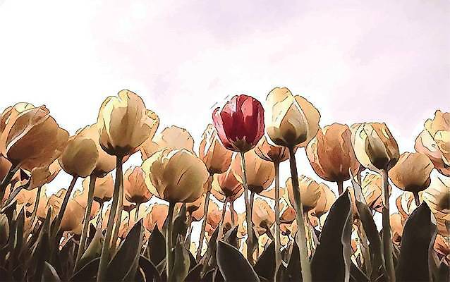 EPS 해외이미지 식물 디자인 계절 꽃잎 꽃 분홍색 꽃다발 백그라운드 잎 꽃무늬 일러스트 자연 휴가 부활절 선물 사랑 미술 장식 빨간색 초록색 여름 컬러풀 노란색 정원 봄 낭만 튤립 벚꽃 흰색 축하 인사 신선 신용카드 다발 내추럴 고립 해외일러스트 기념일 감정 컬러 컨셉 무늬 문화예술 금융 예절 생태계 파일형식 벡터 이미지허브