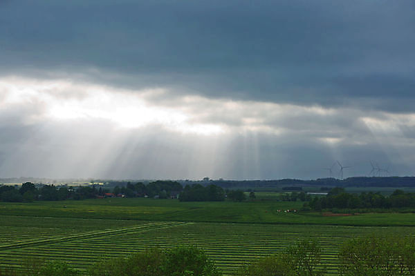포토 JPG 해외이미지 나무 식물 계절 여행 밭 농업 자연 하늘 날씨 독일 사람없음 야외 초록색 물 농작물 강 컬러풀 농장 노란색 환경 맑음 고요 풍차 시골 숲 강가 땅 언덕 수로 운하 장면 자작나무 강렬 밭일 수평선 그리너리 해외포토 자연요소 유럽 산업 컬러 생태계 파일형식 트랜드컬러 이미지허브