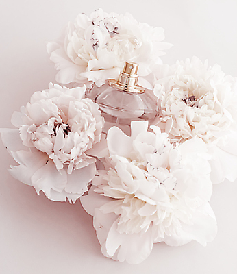 포토 JPG 해외이미지 실내 사람없음 뷰티 화장품 향수 흰배경 모란 향수병 브랜딩 세련 해외포토 꽃 백그라운드 내부 흰색 병_담는 파일형식 이미지허브