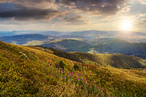 포토 JPG 해외이미지 나무 식물 구름 꽃 밭 자연 하늘 불꽃 산 풍경 경사 사람없음 야외 초록색 여름 빛 햇빛 태양 계곡 보라색 일몰 새벽 광선 가을 시골 정상 저녁 땅 언덕 합성 장면 모음 산악지대 수평선 해외포토 자연요소 계절 컬러 농업 불 노을 야간 생태계 파일형식 이미지허브