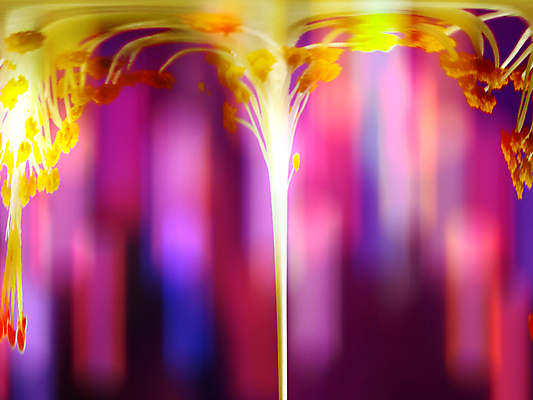 포토 JPG 해외이미지 나무 종교 컨셉 전등 조명 사람없음 빛 컬러풀 꽃가루 신성 천국 해외포토 식물 컬러 가루 파일형식 이미지허브