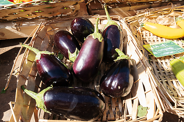 포토 JPG 해외이미지 식물 음식 백그라운드 농업 다이어트 채소 과일 재료 자연 가지 건강 사람없음 초록색 컬러풀 정원 보라색 신선 그룹 시장 제비꽃 유기농 날것 내추럴 숙성 채식주의자 해외포토 웰빙 꽃 산업 컬러 생태계 채식 파일형식 이미지허브