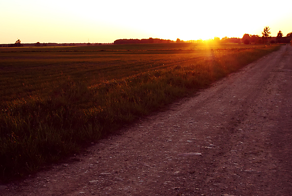 포토 JPG 해외이미지 구름 도로 선 여행 백그라운드 밭 오렌지 모션 자연 하늘 거리 풍경 사람없음 야외 여름 파란색 빛 햇빛 태양 노란색 일출 맑음 황혼 일몰 새벽 운전 자유 시골 고속도로 저녁 아스팔트 방향 속도 장면 넘어짐 방법 수평선 카피스페이스 해외포토 자연요소 계절 길 컬러 컨셉 농업 과일 교통시설 날씨 노을 공백 야간 생태계 파일형식 이미지허브
