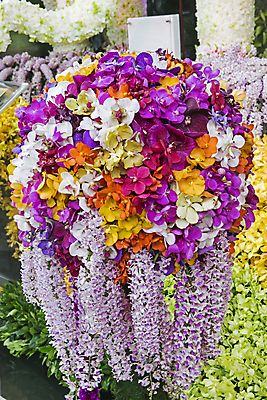 포토 JPG 해외이미지 식물 디자인 꽃잎 꽃 줄기 분홍색 꽃다발 결혼 백그라운드 꽃무늬 패턴 자연 추상 선물 사람없음 야외 장식 빨간색 초록색 뷰티 노란색 우주 정원 봄 낭만 벚꽃 흰색 나뭇가지 신선 개화 난초 우아함 순수 묘사 오브젝트 질감 내추럴 고립 돌봄 해외포토 나무 계절 컬러 컨셉 무늬 모션 이벤트 생태계 파일형식 이미지허브