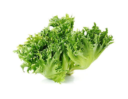 포토 JPG 해외이미지 라이프스타일 음식 백그라운드 잎 다이어트 채소 재료 건강 사람없음 초록색 활발 샐러드 흰색 신선 상추 유기농 칼로리 비타민 고립 채식주의자 해외포토 식물 웰빙 컬러 컨셉 생활 채식 영양소 파일형식 이미지허브