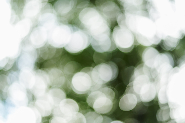 포토 JPG 해외이미지 디자인 계절 백그라운드 잎 패턴 자연 추상 미술 사람없음 초록색 여름 빛 컬러풀 햇빛 봄 흰색 소프트포커스 질감 보케 부드러움 내추럴 블러 효과 해외포토 식물 컬러 무늬 문화예술 촬영기법 태양 감각 생태계 파일형식 이미지허브