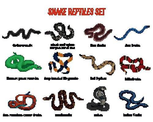 EPS 해외이미지 동물 디자인 야생동물 모래 바다 컨셉 일러스트 공 파충류 동물원 동양인 초록색 세트 힘 회색 점 독약 뱀 숲 위험 왕 남색 수집 피부 꼬리 육식동물 동쪽 타입 가터벨트 고립 해외일러스트 컬러 인종 신체부위 벨트 방향 파일형식 벡터 이미지허브