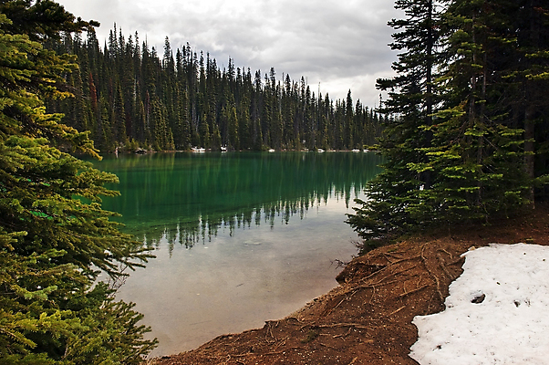 포토 JPG 해외이미지 공원 호수 잎 겨울 모션 자연 날씨 산 사람없음 야외 물 파란색 강 뷰티 반사 평화 환경 골짜기 침묵 폭포 젖음 흐름 추위 신선 개울 황무지 떨어짐 숲 빙하 에메랄드 암초 아르헨티나 해외포토 자연요소 식물 계절 공공시설 컬러 컨셉 소리 남아메리카 보석 생태계 파일형식 이미지허브