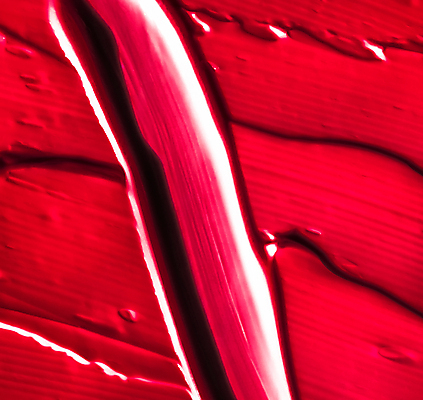 포토 JPG 해외이미지 백그라운드 사람없음 빨간색 화장품 질감 해외포토 컬러 뷰티 파일형식 이미지허브