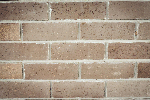 포토 JPG 해외이미지 나무 식물 디자인 꽃 벽 백그라운드 잎 패턴 건축양식 자연 벽지 추상 주택 사람없음 야외 장식 초록색 뷰티 갈색 노란색 환경 정원 수확 성장 나뭇가지 덩굴 묘사 시멘트 장면 포도나무 내추럴 그런지 옛날 콘크리트 해외포토 건축 컬러 무늬 농업 건물 과일나무 생태계 파일형식 이미지허브