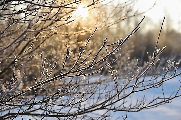 포토 JPG 해외이미지 나무 식물 계절 공원 여행 백그라운드 크리스마스 겨울 자연 하늘 아침 날씨 휴가 새로움 산 파노라마 사람없음 야외 목재 파란색 햇빛 태양 뷰티 우주 냉동 얼음 추위 흰색 숲 12월 연도 서리 장면 전나무 내추럴 폭설 눈내림 가문비나무 해외포토 주간 자연요소 공공시설 기념일 컬러 컨셉 재료 눈_날씨 촬영기법 날짜 자연재해 생태계 파일형식 이미지허브