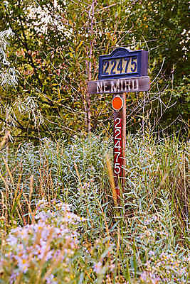 포토 JPG 해외이미지 나무 식물 계절 공원 꽃 밭 농업 하늘 사람없음 야외 물 농장 노란색 봄 시골 숲 허브 관목 사인 해외포토 자연요소 공공시설 산업 컬러 파일형식 이미지허브