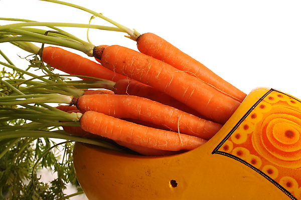 포토 JPG 해외이미지 식물 1 전통 문화 음식 신발 농업 다이어트 채소 오렌지 재료 건강 사람없음 목재 장식 초록색 노란색 저녁식사 당근 수확 흰색 그리기 농부 먹기 네덜란드 유기농 날것 뿌리 기념품 내추럴 고립 민화 전국 해외포토 나무 직업 웰빙 유럽 산업 컬러 과일 모션 뿌리채소 식사 오브젝트 그림 파일형식 이미지허브