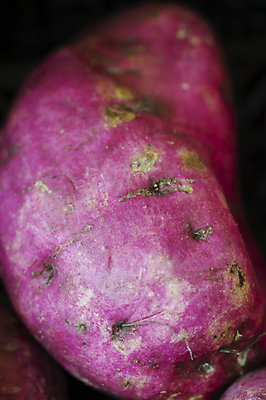 포토 JPG 해외이미지 식물 음식 채소 감자 사람없음 빨간색 신선 묘사 타입 녹말 해외포토 컬러 파일형식 이미지허브