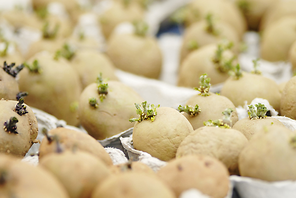 포토 JPG 해외이미지 사람없음 6 흰배경 해외포토 백그라운드 숫자 흰색 파일형식 이미지허브